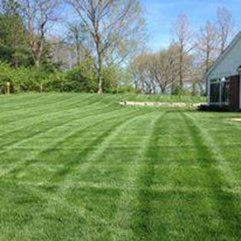CB Home Improvement - Professional Lawn Mowing - Landscaping Near Me CB Home Improvement - Professional Lawn Mowing - Landscaping Near Me