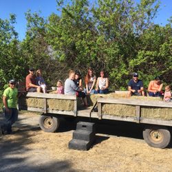 Florida's Adventures In Paradise - Great way to start the day of for the farm tours 10.28.2017