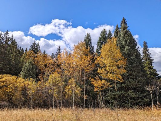 Golden Gate Canyon State Park by null