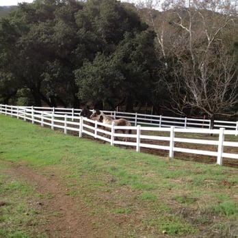 Rocky Ridge Trail - Ponies - Hiking Near Me - San Jose, California Rocky Ridge Trail - Ponies - Hiking Near Me - San Jose, California