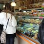 Panificio Lintozzi