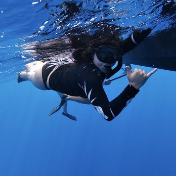 One Ocean Diving - Free Diving Near Me - Haleiwa, Hawaii