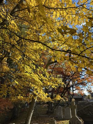 Sleepy Hollow Cemetery by null