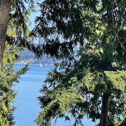Sequim Bay State Park - What a view
