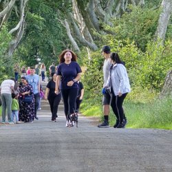 The Dark Hedges