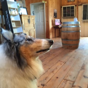 Unionville Vineyards - Happy the dog - Wineries Near Me - Ringoes, New Jersey Unionville Vineyards - Happy the dog - Wineries Near Me - Ringoes, New Jersey