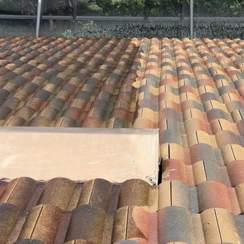 Watson Premier Services - Roof Cleaning - Pressure Washers Near Me Watson Premier Services - Roof Cleaning - Pressure Washers Near Me