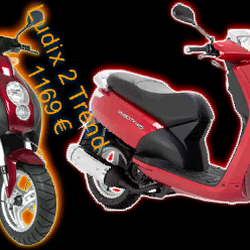 Absolut Scoot