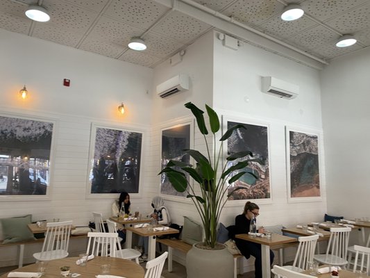 Bluestone Lane Tribeca Café by null