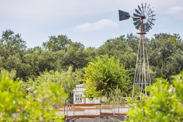 Orchard Ridge Community, Texas by null