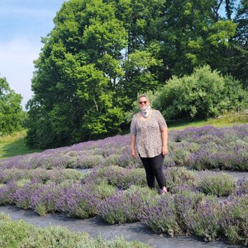 Sunset Ridge Lavender Farm - Attraction Farms Near Me - Enon, Ohio Sunset Ridge Lavender Farm - Attraction Farms Near Me - Enon, Ohio