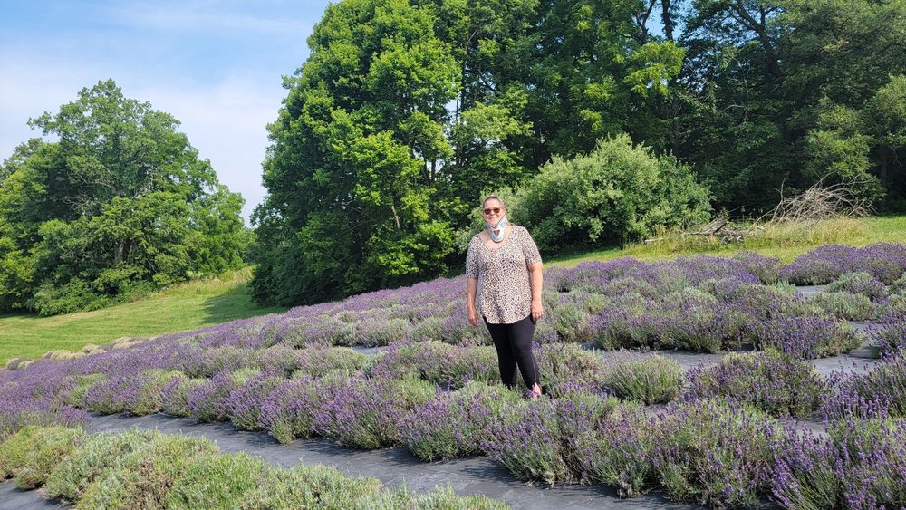 SUNSET RIDGE LAVENDER FARM TEMP. CLOSED Updated November 2024 17