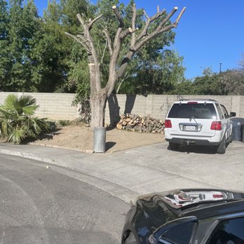 Affordable Tree - Tree Services Near Me - Tracy, California