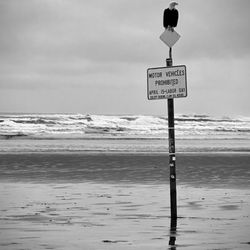 Oceana - Ocean City, WA