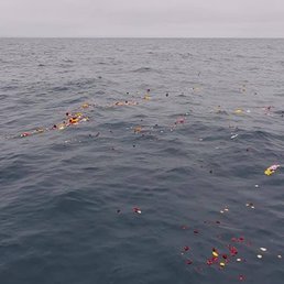 Sea Star Burials at Sea