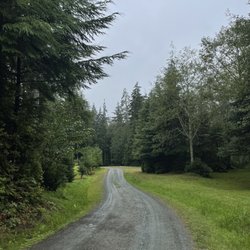 The Lost Resort - Road