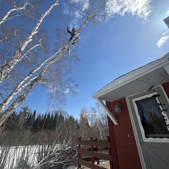 Foth's Top Notch Tree Service - Tree Services Near Me