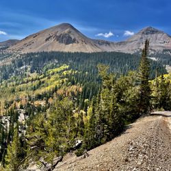 Dusty Pine Motorsports - Tushar Mountain Tour