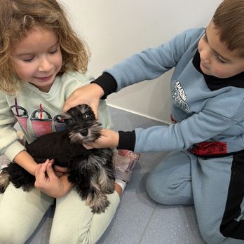 Waggles Puppy Boutique - Pet Stores Near Me - Charlotte, North Carolina Waggles Puppy Boutique - Pet Stores Near Me - Charlotte, North Carolina
