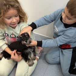 Waggles Puppy Boutique