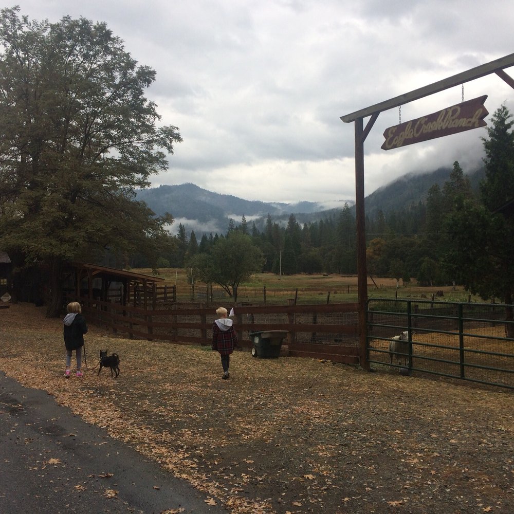Ripple Creek Cabins - There were multicolored sheep there too! - Hotels Near Me - Trinity Center, California
