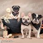 Photo of Pooch Smooch Photography