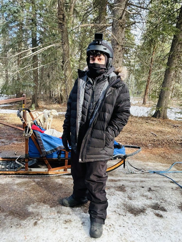 Mountain Paws Dog Sled Tours Logo