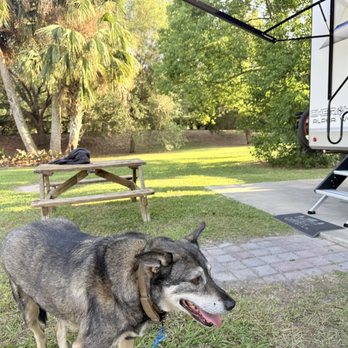 Wilderness RV Resort - RV Parks Near Me - Silver Springs, Florida Wilderness RV Resort - RV Parks Near Me - Silver Springs, Florida