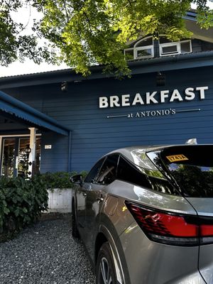 Breakfast at Antonio's by null