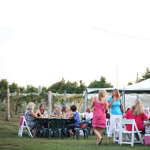 Wine Barn - vineyard in Kansas City, KS