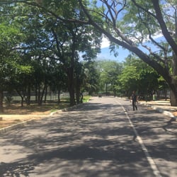 Caña Hueca - Excelente para correr y bicicleta