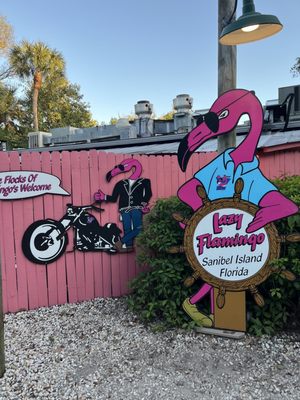 Lazy Flamingo by null
