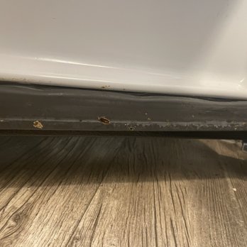 Westland Real Estate Group - Roaches getting squished by the refrigerator door. - Apartments Near Me - Long Beach, California Westland Real Estate Group - Roaches getting squished by the refrigerator door. - Apartments Near Me - Long Beach, California