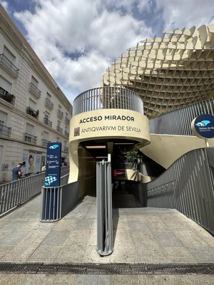Setas de Sevilla by null