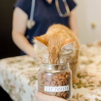 GoodVets Streeterville - Veterinarians Near Me - Chicago, Illinois GoodVets Streeterville - Veterinarians Near Me - Chicago, Illinois