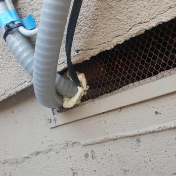 Attic Pros - Pest Control Near Me - Oakland, California