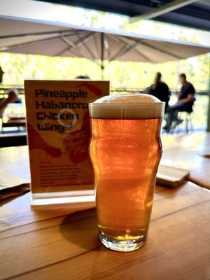 Idyllwild Brewpub by null