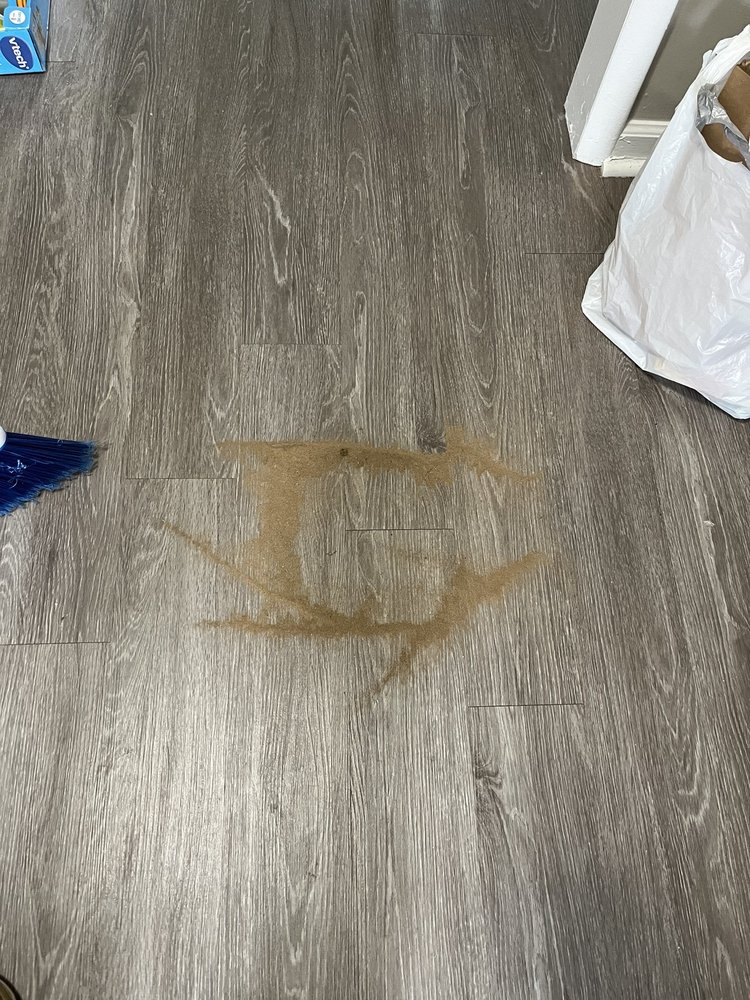 VA 1.50 CLEANERS 12 Reviews 4335 Pheasant Ridge Rd, Roanoke