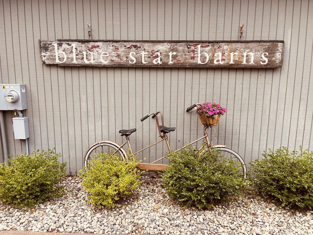 Blue Star Barns - Coffee & Bikes Logo