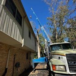 Monster Tree Service of the North Shore