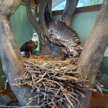 Mason Neck State Park - Visitor Center - Parks Near Me - Lorton, Virginia