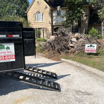 Texas Heritage Trees - More equipment. - Gardeners Near Me Texas Heritage Trees - More equipment. - Gardeners Near Me