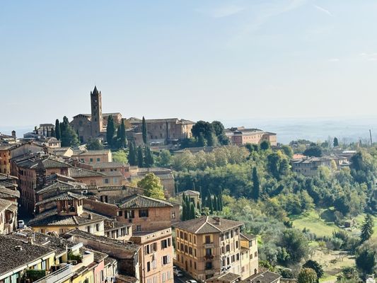 Palazzo Pubblico by null