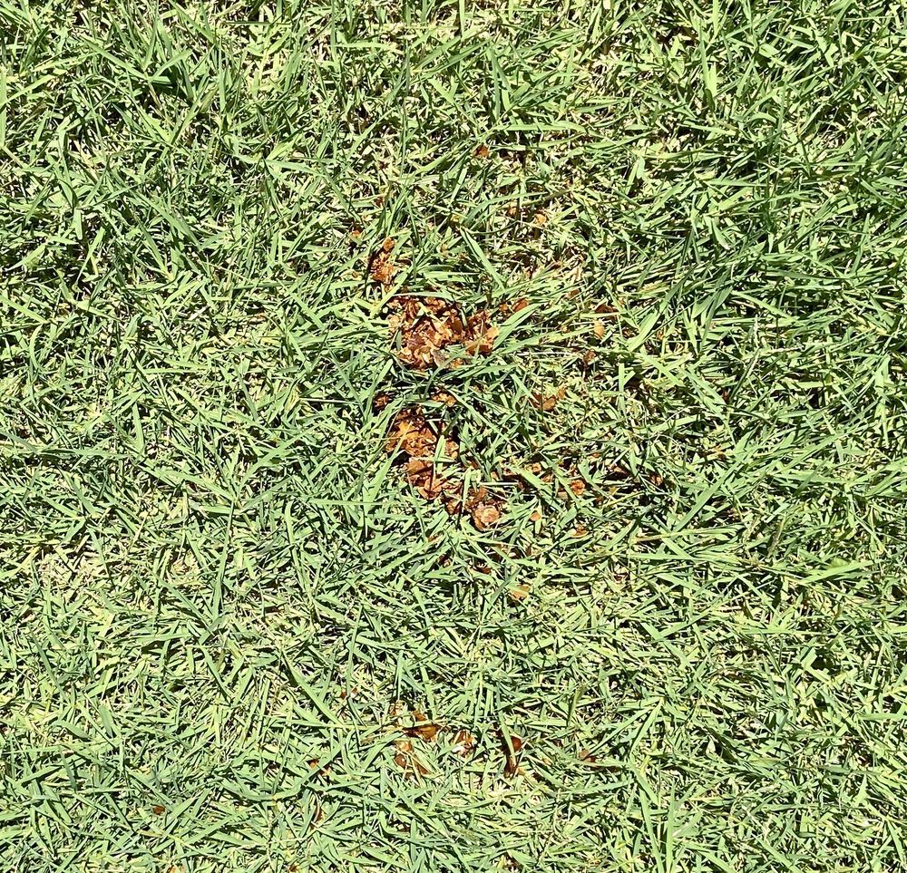 ARCTIC AIR CONDITIONING & HEATING Updated June 2024 13 Reviews