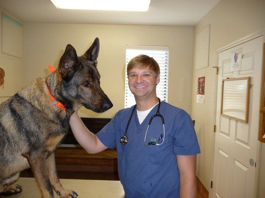 Hammond Hills Animal Hospital 454 W Martintown Rd North Augusta Sc Veterinarians Mapquest