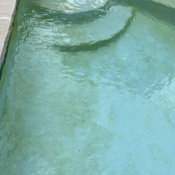Blue Science Pools - 6 days after cleaning - Pool Cleaners Near Me - The Colony, Texas