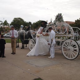 Cindy Cinderella Carriages made my dreams come to life on my wedding day!