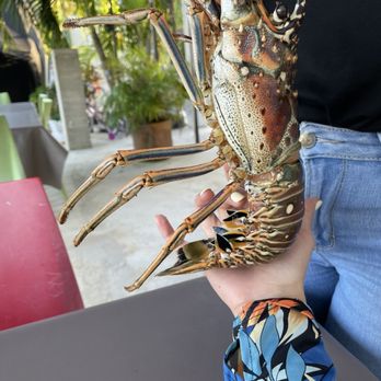 El Bohio Restaurant - Lobster to cook - Seafood Near Me - Fajardo, Puerto Rico