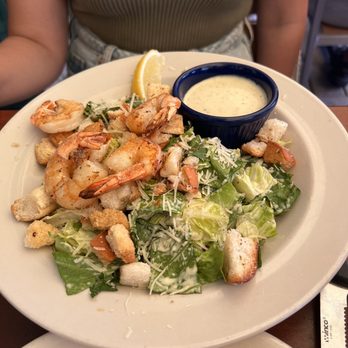Coconuts - Shrimp cesar salad - Seafood Near Me - Fort Lauderdale, Florida