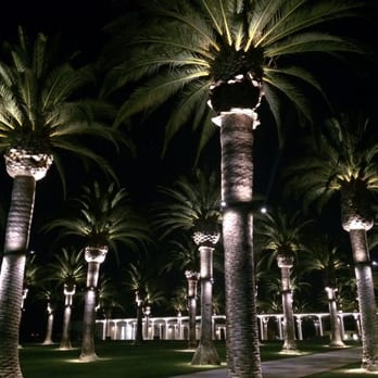Great Park - The Palm court at night. Love it!!! - Parks Near Me - Irvine, California